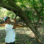 Eagle Eye pointing out how high the river gets in the wet season (Jan-Mar).