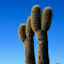 “What's wrong? You've been a bit prickly ever since I got home...”