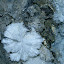 Here's some lovely stuff... naturally occuring asbestos! Not many filter masks were about either...