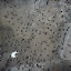It is also home to hundreds of bats, as seems to be the case with any dark space in India!