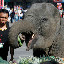 It was great to see them up close and personal, all shapes and sizes.