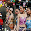 More of the Elephant Roundup