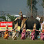 And this time... even the elephants know the moves...