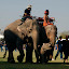 Dumbo the Great even makes an appearance!