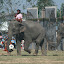 Finally a game of football between two different elephant rearing villages.