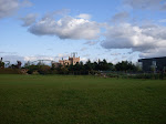 SDC10006.JPG