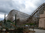 SDC10013.JPG