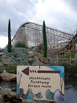 SDC10016.JPG