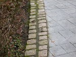 SDC10065.JPG