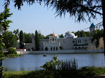 SDC10494.JPG