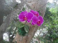 IMGP2258.JPG
