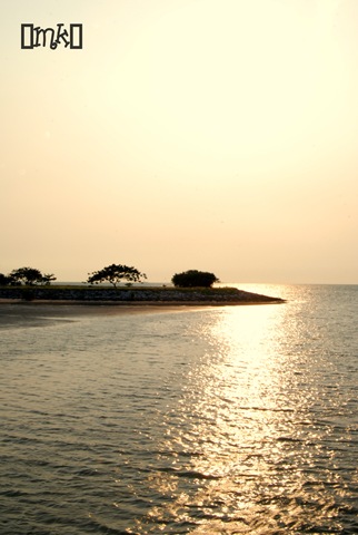 [DSC_28243.jpg]