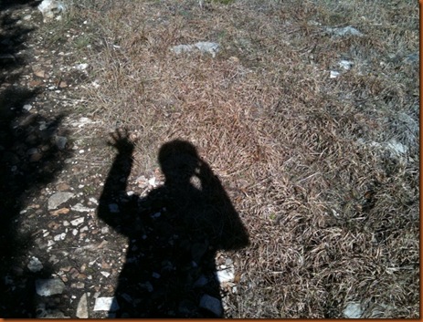 nomorewinter