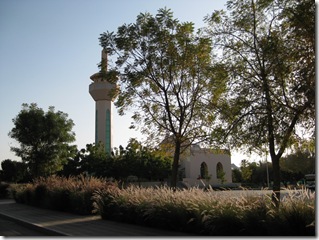 IMG_0485 IMG_0485