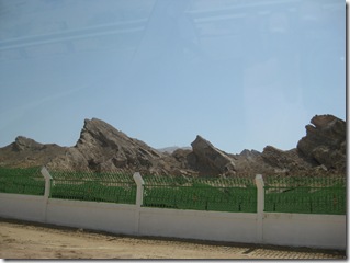IMG_0533 IMG_0533