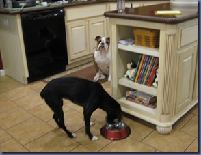 IMG_1405 IMG_1405
