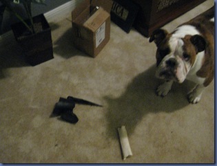 IMG_1414 IMG_1414