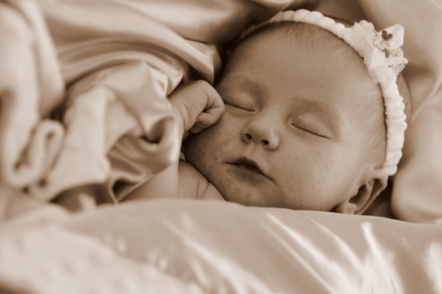 [DSC_6258 (2)[10].jpg]
