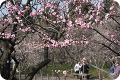 IMG_3138 IMG_3138