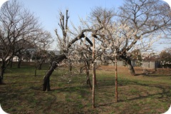 IMG_3064 IMG_3064
