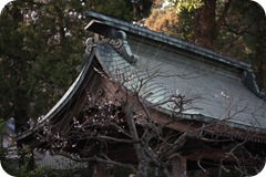 IMG_3160 IMG_3160
