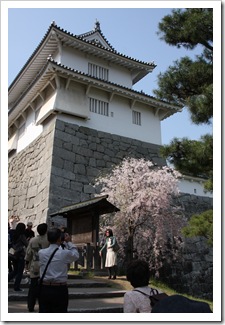 IMG_3814 IMG_3814