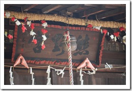 IMG_4238 IMG_4238