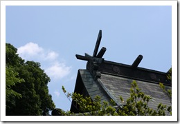 IMG_4240 IMG_4240