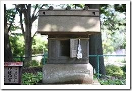 IMG_4242 IMG_4242