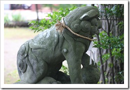 IMG_4233 IMG_4233
