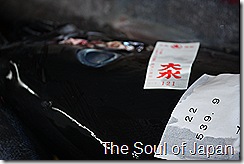IMG_5681 IMG_5681