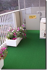 IMG_6126 IMG_6126