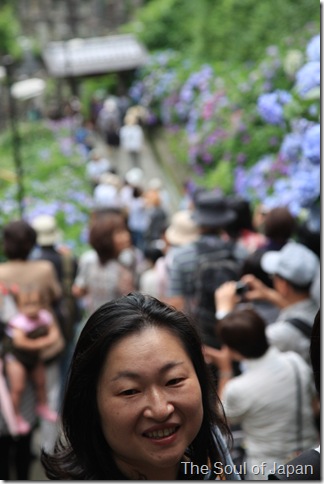 IMG_7708 IMG_7708