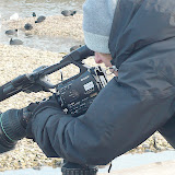 © Karen Partridge. WWT Slimbridge January 2011
