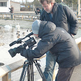 © Karen Partridge. WWT Slimbridge January 2011