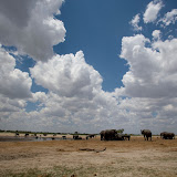 © Sue Flood: Elephants, Hwange National Park, Zimbabwe &ndash; 22-Oct-2007