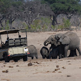 © Sue Flood: Filming Elephants, Hwange National Park, Zimbabwe &ndash; 23-Oct-2007