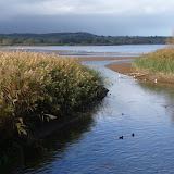 © Sarah Pitt: Chew Valley Lake. From September 2009 Course. &ndash; 07-Nov-2009