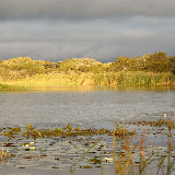 © Karen Partridge. Lake at Antelope Park, Zimbabwe