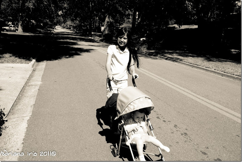 lavida (1 of 1)-2 lavida (1 of 1)-2