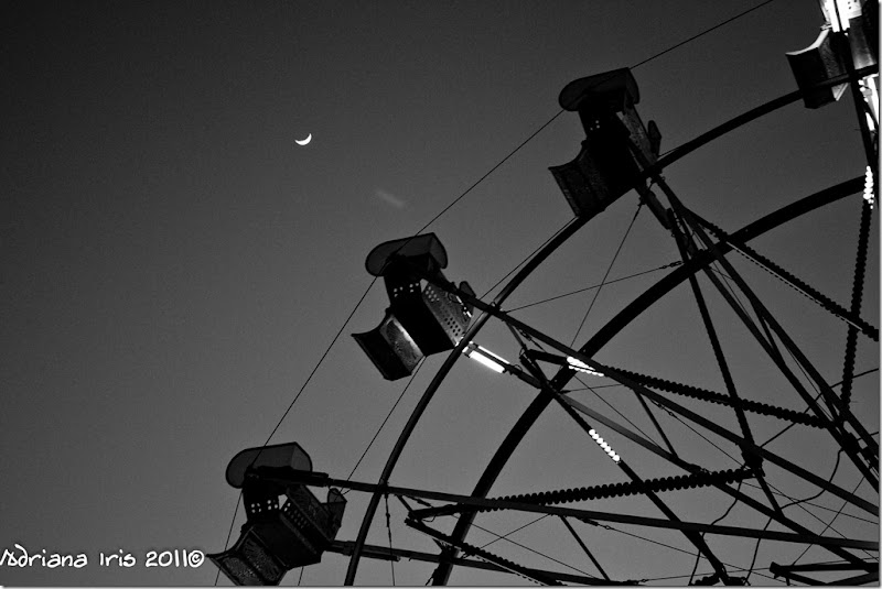 ladulcevida (6 of 7) ladulcevida (6 of 7)