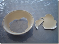 bowl - broken