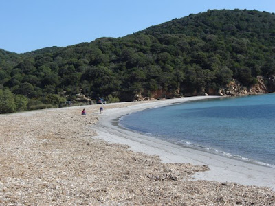 Corsica coast race