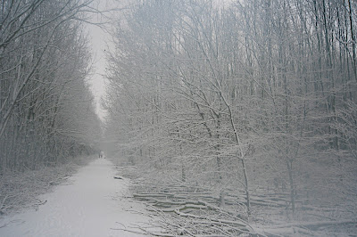 neige sur Delft