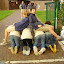 DSC02404.JPG