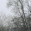 DSC_0081.jpg