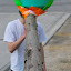 DSC_0091.jpg