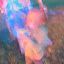09 569.JPG