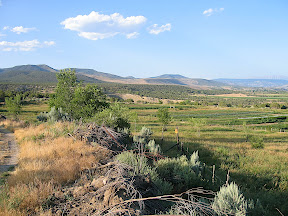 a view of the farm from the ditch road 4 of 4