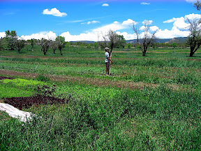 Topher pausing for a moment from his work hoeing the onions, glads and cabbages. We should have hoed those beds weeks ago, but its hard to hoe when it rains every day!